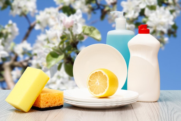 Bottles of dishwashing liquid plates and sponges on natural background