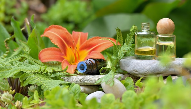 Bottles of essential oil  on a  stone next to big orange flower of lys