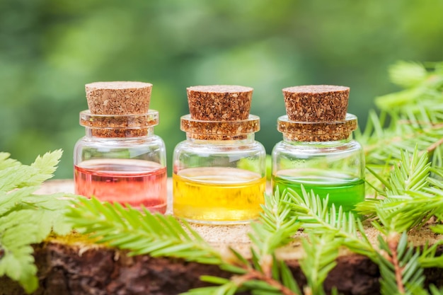 Bottles of essential oil on wooden stump in forest