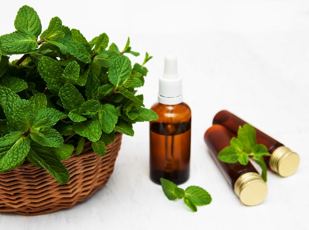 Bottles of mint oil and fresh mint