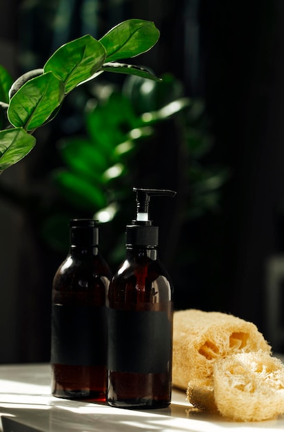 Bottles of soap and shampoo with a green plant on a white table against the background