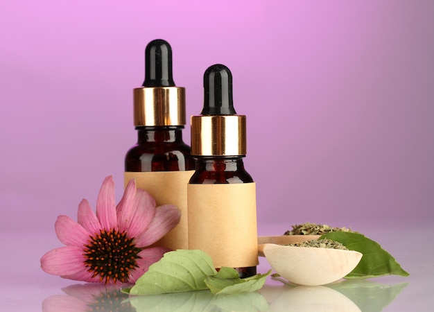 Bottles with essence oil and purple echinacea on pink background