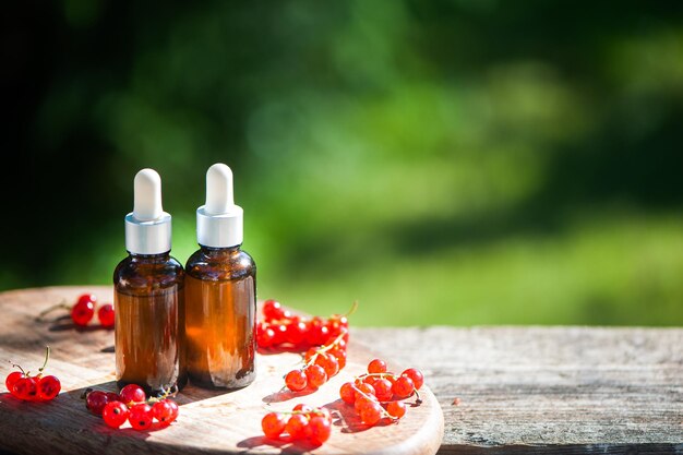 Bottles with Red currants oil fresh berries and leaves on a natural green background Bioproduct organic cosmetics