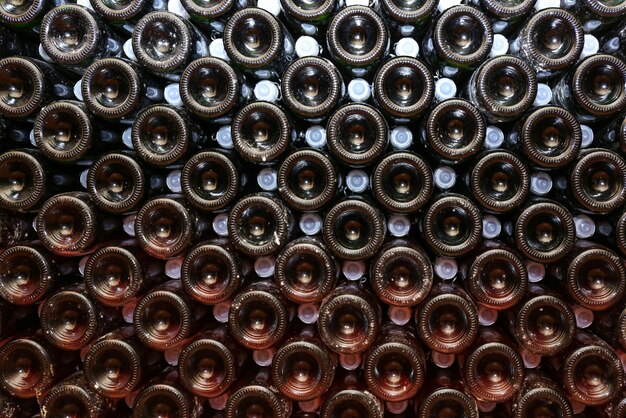 Bottles with wine in cellar closeup