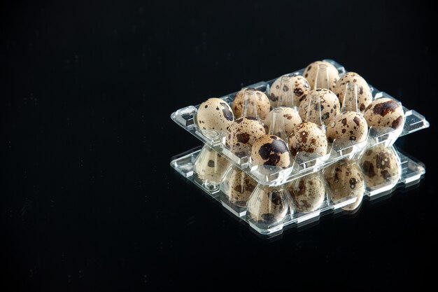 bottom view quail eggs in viol on black background with copy place