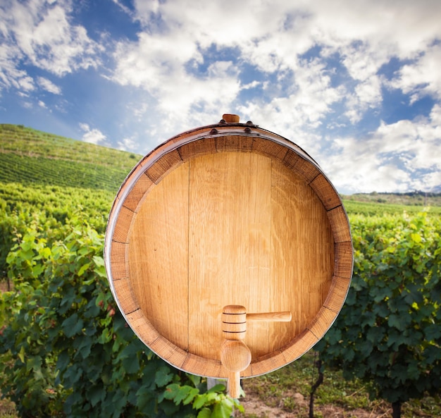 The bottom of a wine barrel and vineyard lanscape for wine design, copy space