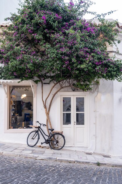 Photo bougainvillea with purple flowers in front of shop at hermoupolis syros island greece vertical