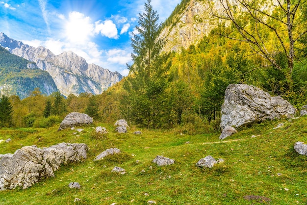 Boulder stones in Koenigssee Konigsee Berchtesgaden National P