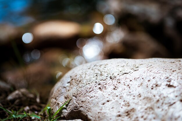 I massi sull'erba riflettono l'acqua come un bokeh circolare per uno sfondo.