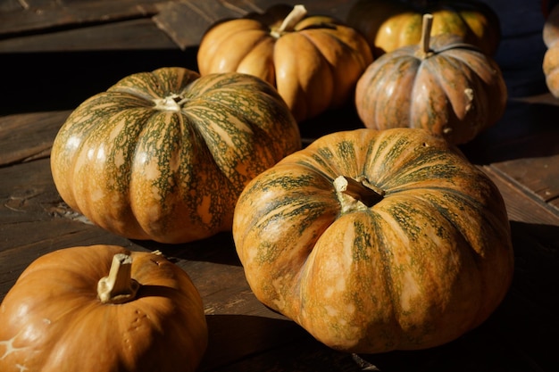 Bountiful Harvest Celebrating Pumpkins the Versatile Vegetable