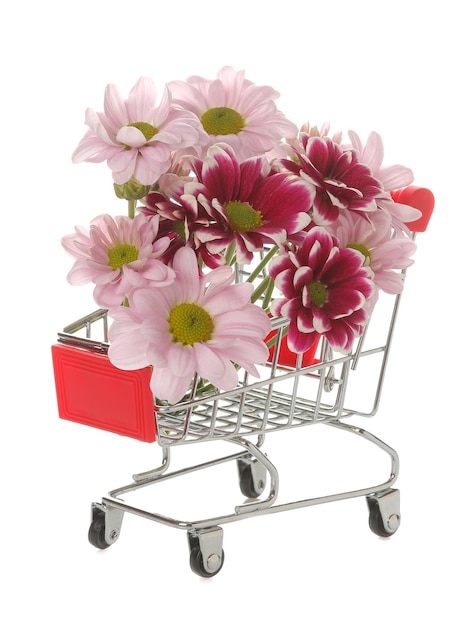 Bouquet of autumn flowers of pink chrysanthemums in a shopping trolley on a white isolated background