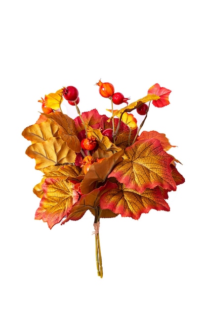 Bouquet of autumn leaves and berries isolated on white background