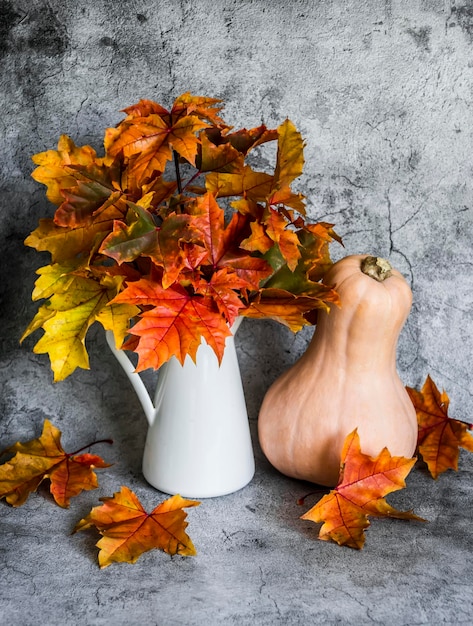 Bouquet of autumn maple leaves in a white jug and a pumpkin on a gray background copy space