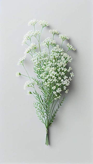 A bouquet of baby's breath is displayed on a gray background.