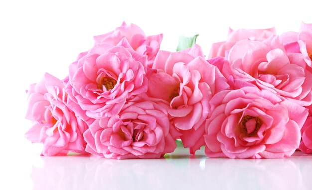 Bouquet of beautiful fresh roses isolated on white