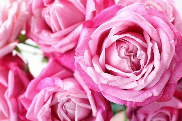 Букет красивых свежих роз