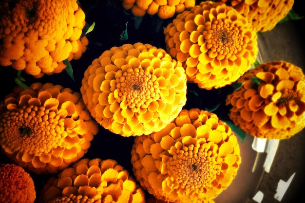 Photo bouquet of beautiful orange marigold flowers with round heads