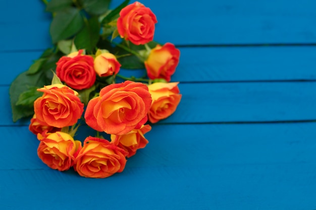 Bouquet of beautiful orange roses on blue background 