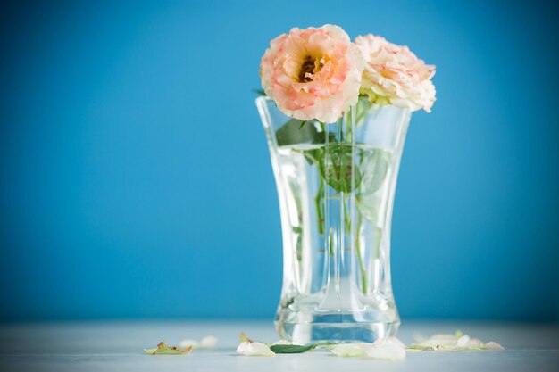 Bouquet of beautiful orange roses on table