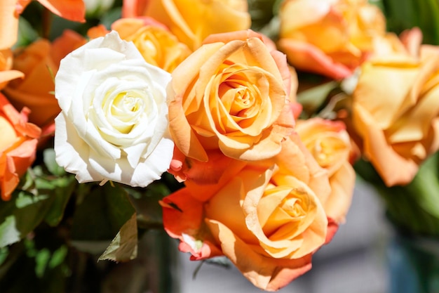 Bouquet of beautiful orange and white roses