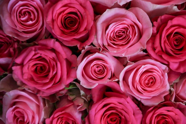 Bouquet of beautiful pink roses. beautiful background.