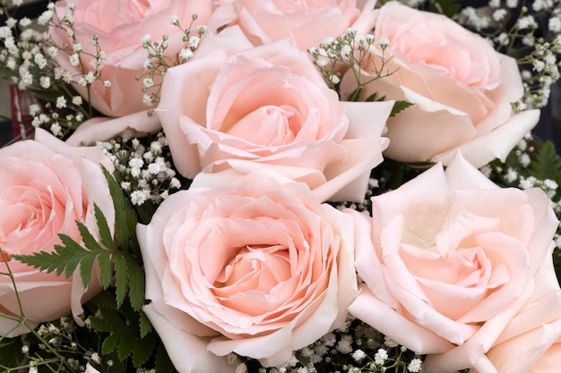 A bouquet of beautiful pink roses on white wooden background.
