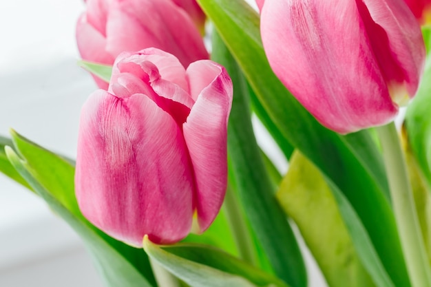 Photo bouquet of beautiful pink tulips against a blurred