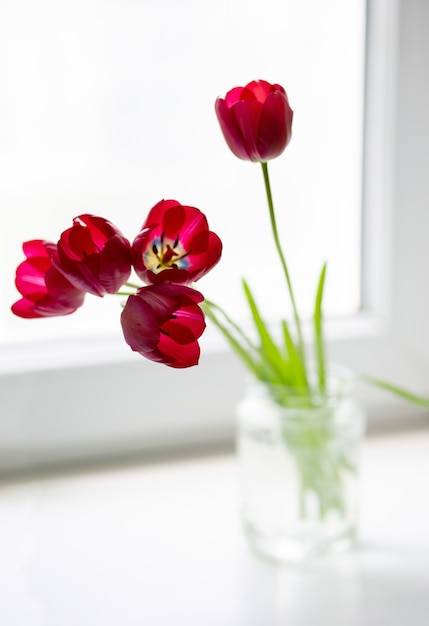 bouquet of beautiful pink tulips in a glass jar on the window with beautiful light