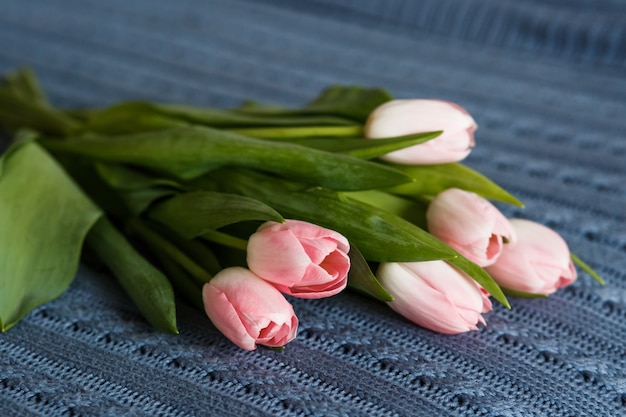 Bouquet of beautiful pink tulips