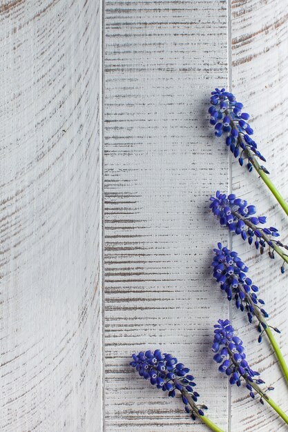 Foto un bouquet di bellissimi fiori viola su una superficie di legno bianca