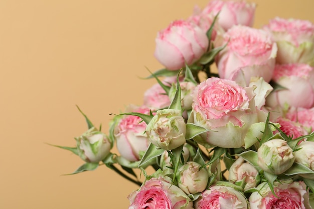 Bouquet of beautiful roses on beige