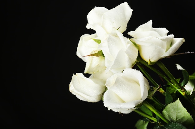 Bouquet of beautiful roses on black background