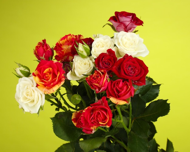 Bouquet of beautiful roses on green background closeup