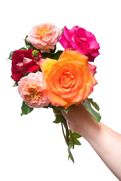 A bouquet of beautiful roses in the hands of girls. Flowers. Spring. Flat lay, top view. Love. Valentine's Day. Easter