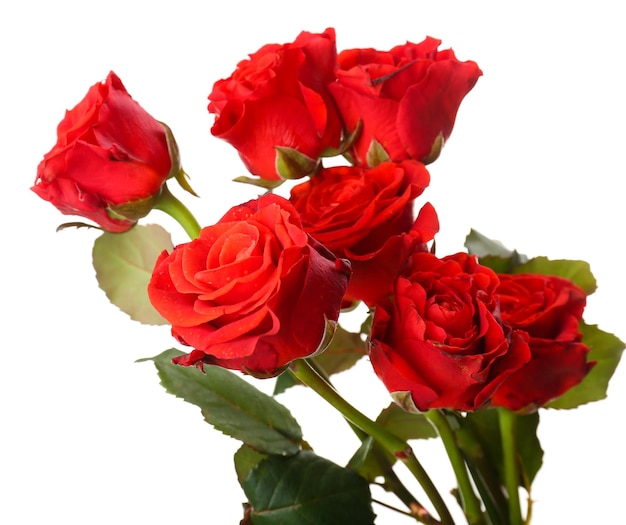 Bouquet of beautiful roses isolated on white