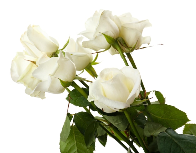 Bouquet of beautiful roses isolated on white