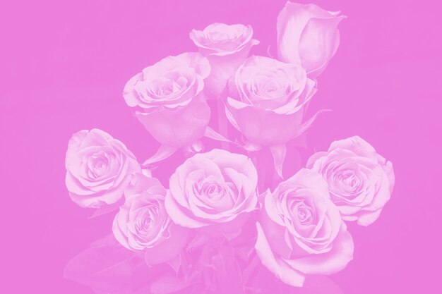 Bouquet of beautiful roses with pink tinted. flower composition