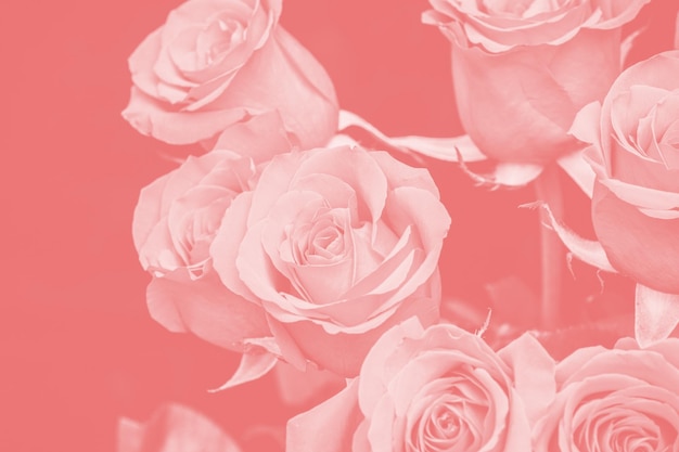 Букет красивых роз с красным оттенком цветочной композиции
