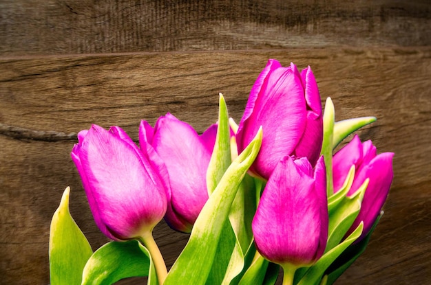 Bouquet of beautiful tulips on wooden background Tulips on old boards