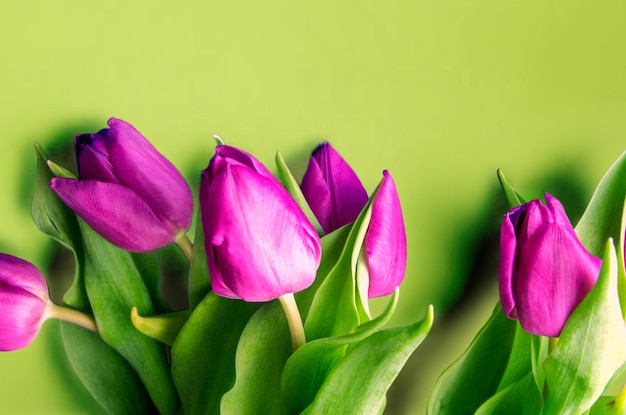 Bouquet of beautiful tulips on wooden background Tulips on old boards