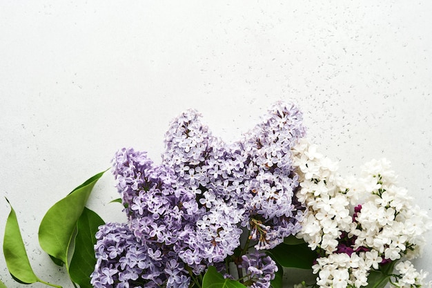 Bouquet of beautiful white and purple lilac on grey background. Top view. Festive greeting card with peony for weddings, happy womens day Valentines and Mothers day.