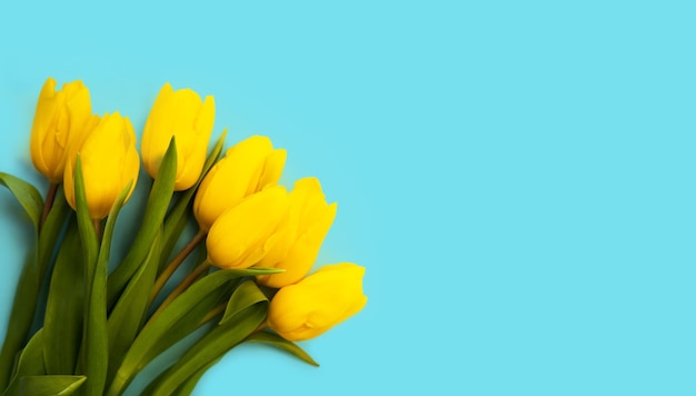 Bouquet of beautiful yellow tulips on a blue background mothers day valentines day