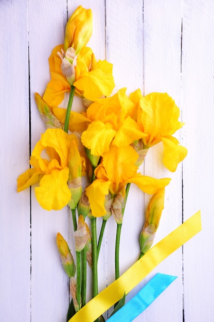 Bouquet of blooming yellow irises 