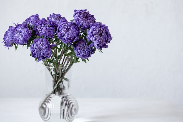 A bouquet of blue chrysanthemums in a glass vase on a white background, copy space.