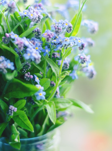 Bouquet of blue forgetmenots flowers