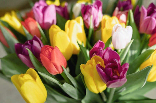 Букет ярких разноцветных тюльпанов. Красивый цветочный фон. Весенние цветы.