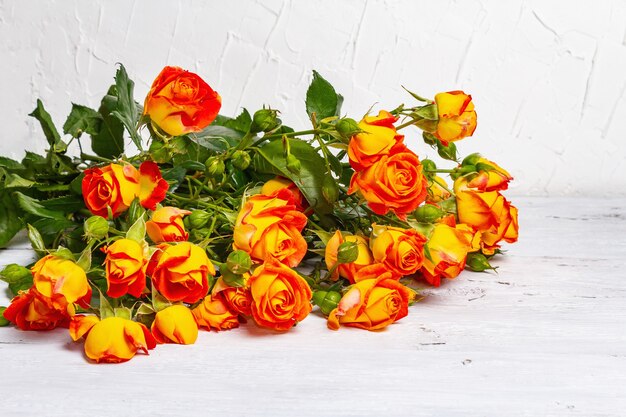 Bouquet of bright orange roses on white background