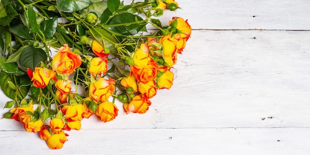 Bouquet of bright orange roses on white background