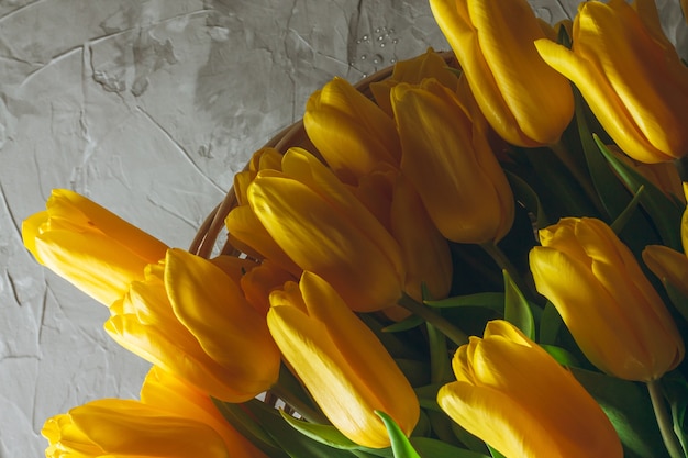 Bouquet of bright yellow tulips in a wicker basket on a gray concrete wall. Top view. Copy space