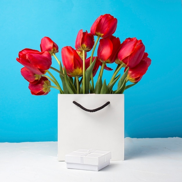 Bouquet of brightly red tulips in a white gift bag on a blue. Conception of congratulations, surprise and gift